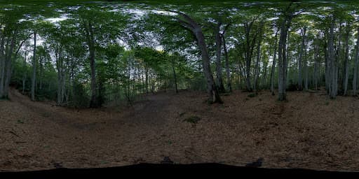 Ruta Circular Bosque Betato